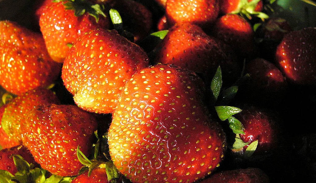 Huelva: Exportschlager roter Beeren