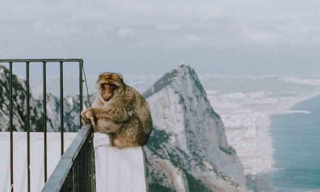 Gibraltar und die Coronakrise