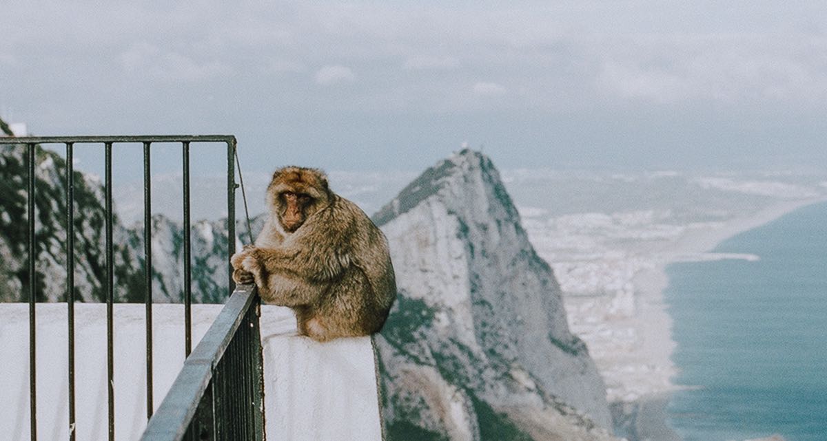 Gibraltar und die Coronakrise