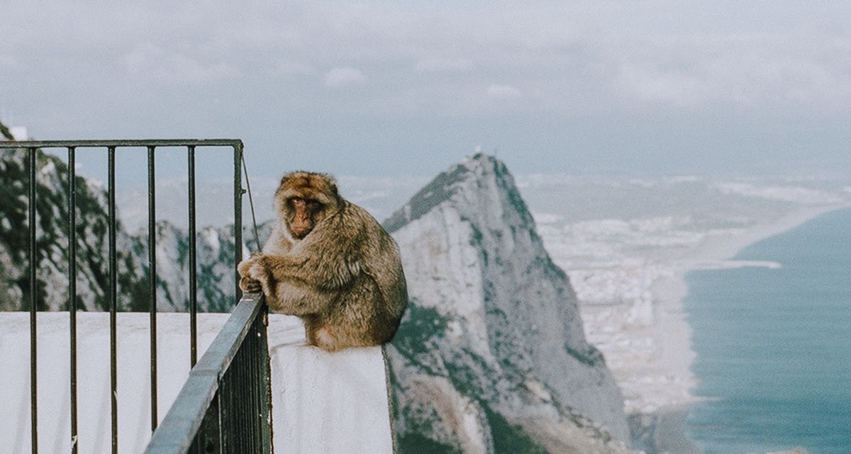 Gibraltar Und Die Coronakrise