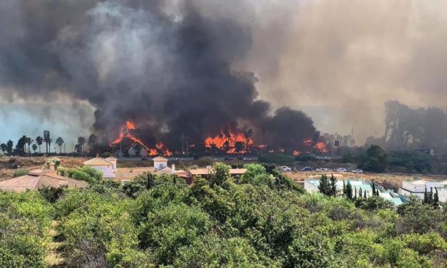 Laguna Village: großbrand in Estepona