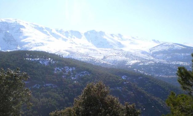 Die Sierra Nevada