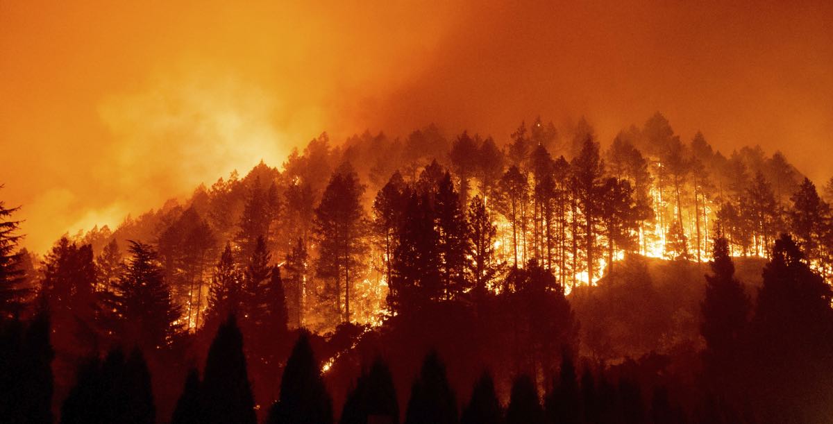 Waldbrand in Naturschutzgebiet auf Mallorca von Menschen verursacht