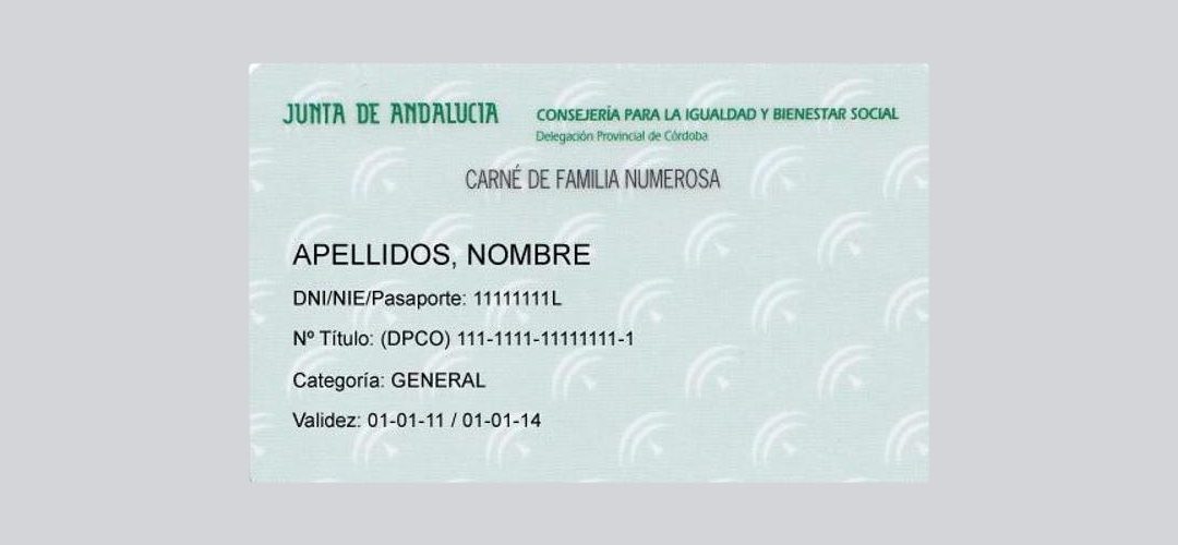 Mehr Rechtssicherheit für das „Carné de Familia Numerosa“
