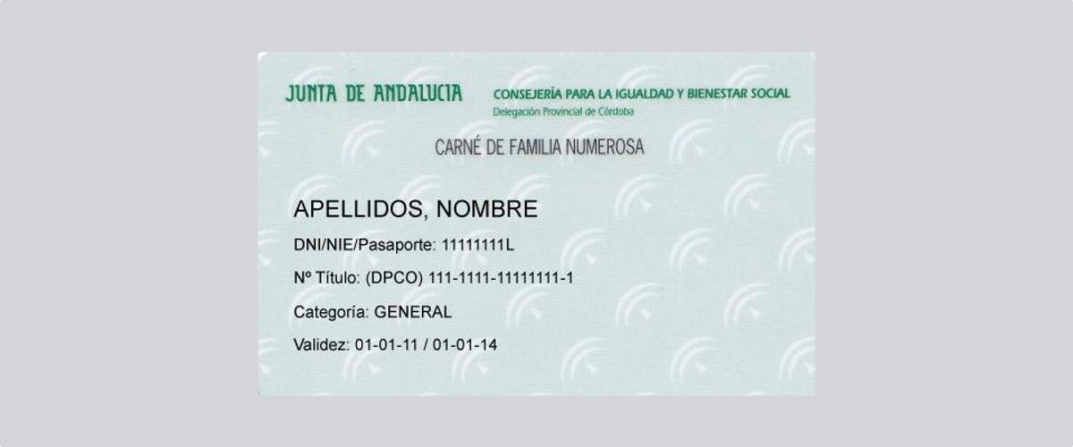 Mehr Rechtssicherheit für das „Carné de Familia Numerosa“