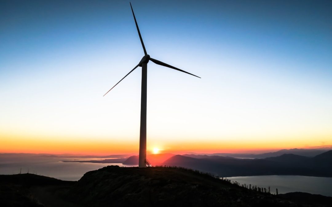 „La Revolución verde“: wie Andalusien nachhaltig aus der Krise kommen will