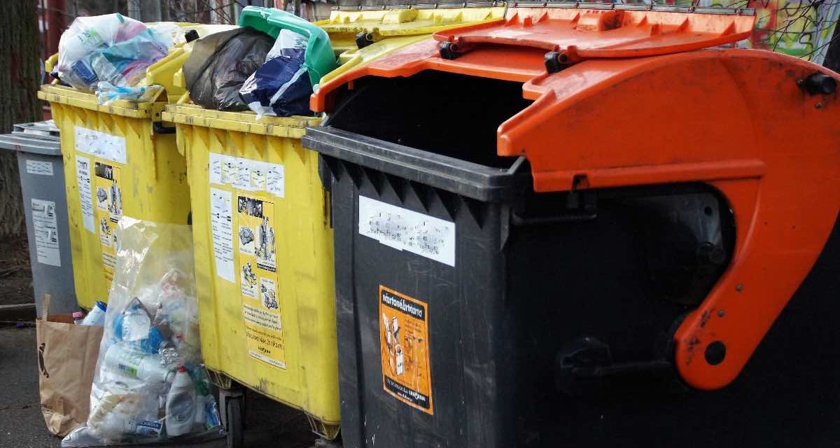 Horror Halloween in Huelva – Mann verhaftet nachdem er einen menschlichen Kopf in einen Container geworfen hat