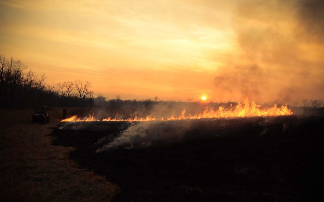 Brand in der Sierra Bermeja