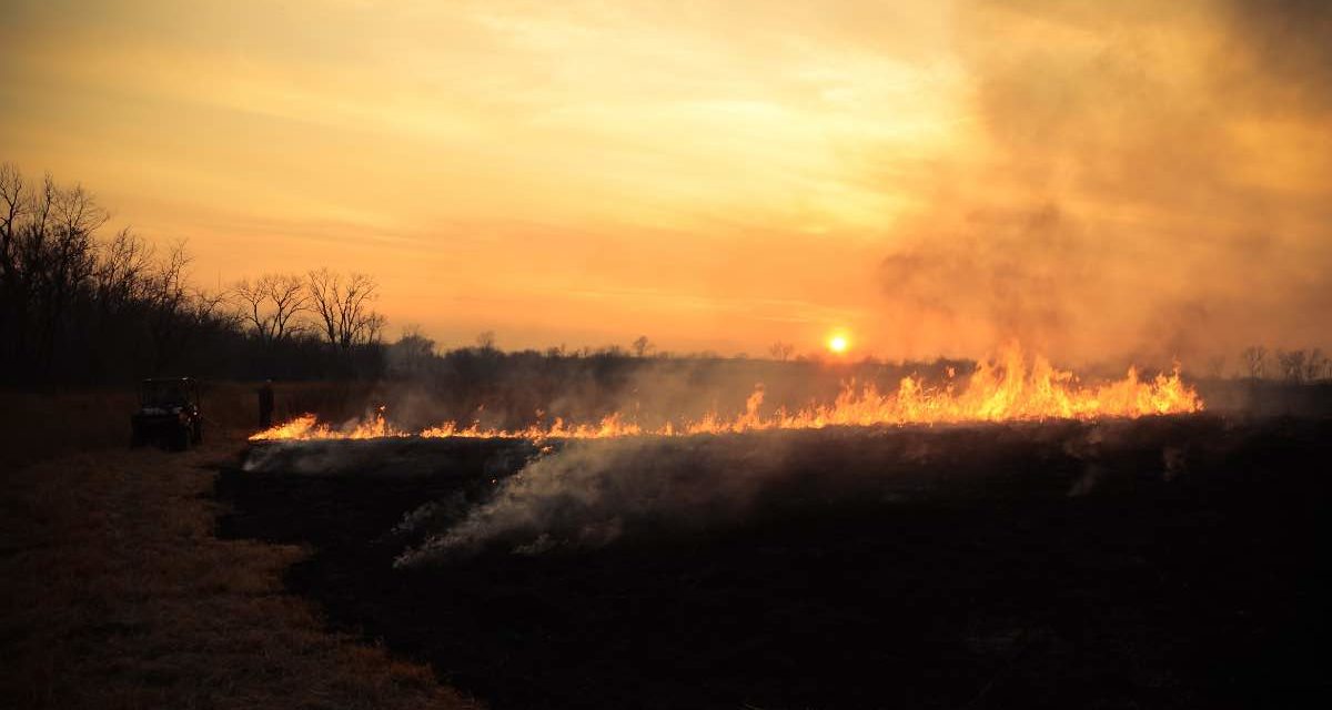 Brand in der Sierra Bermeja