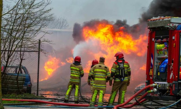 Älteres Geschwisterpaar stirbt bei Wohnungsbrand