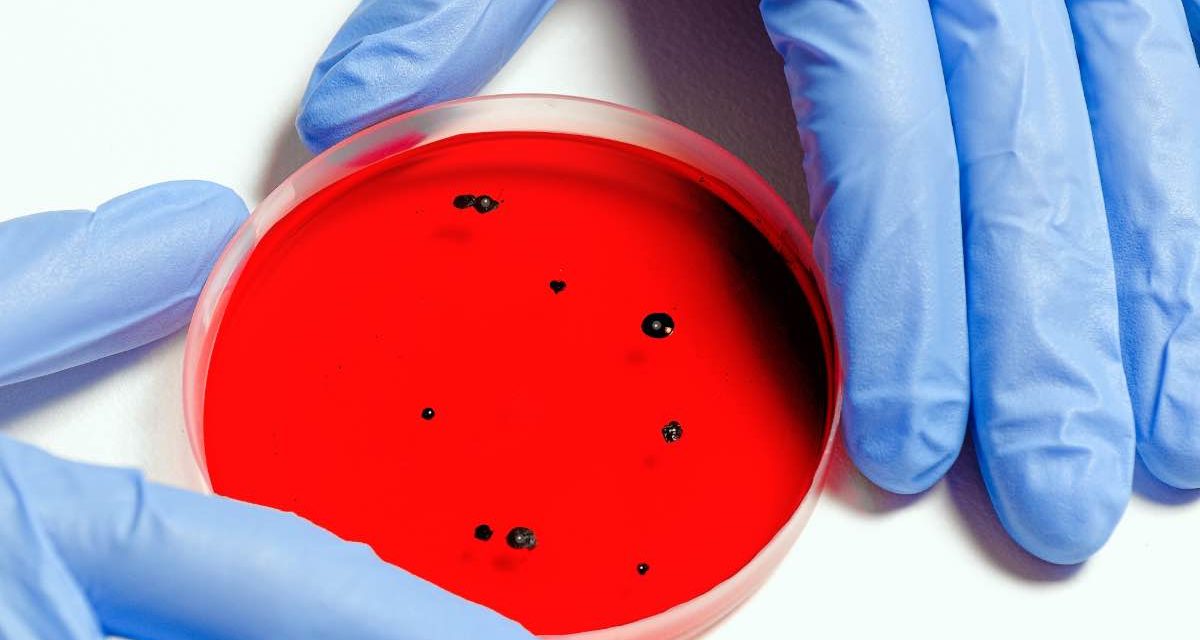 Südafrikanische Covid-19-Mutation tritt erstmalig in Granada auf