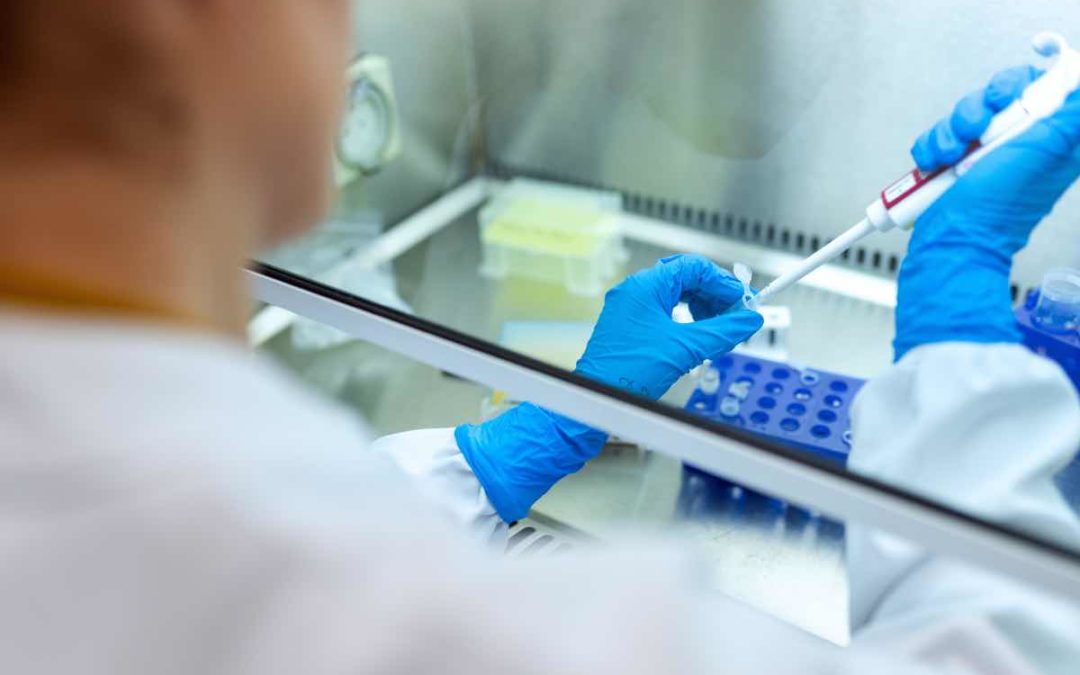 Granada: Laboratorios Rovi stellt Impfstoffe von Moderna her