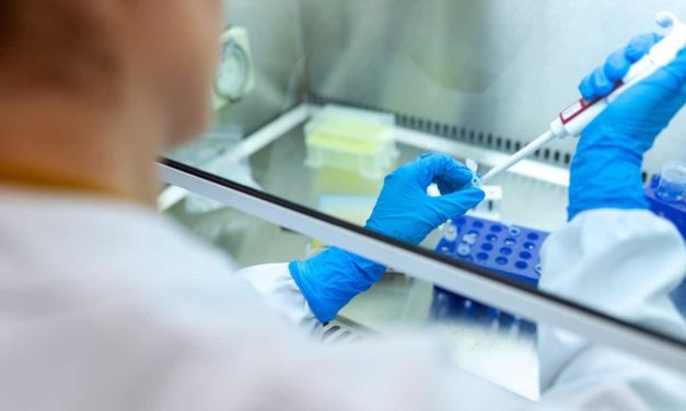 Granada: Laboratorios Rovi stellt Impfstoffe von Moderna her