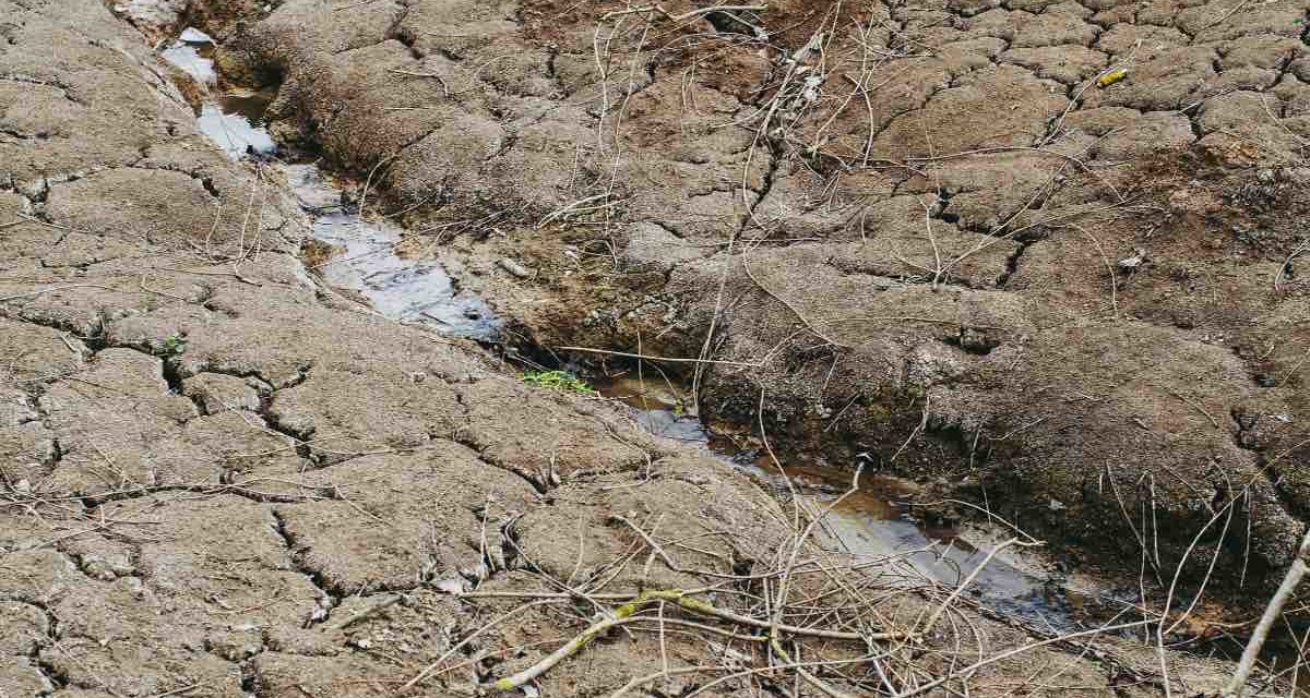 Neue Dürrephase: geographische Verteilung der Wasserressourcen problematisch