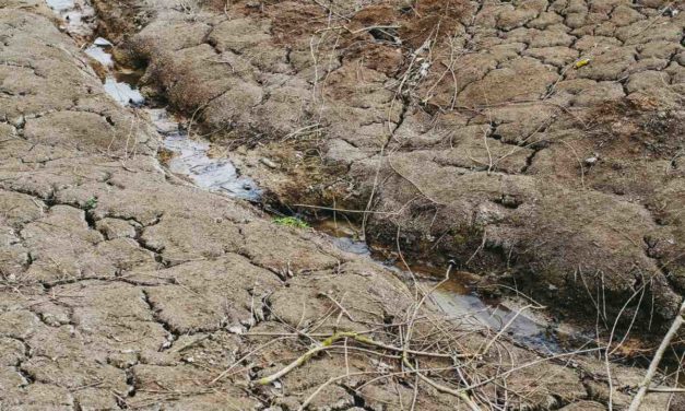 Neue Dürrephase: geographische Verteilung der Wasserressourcen problematisch