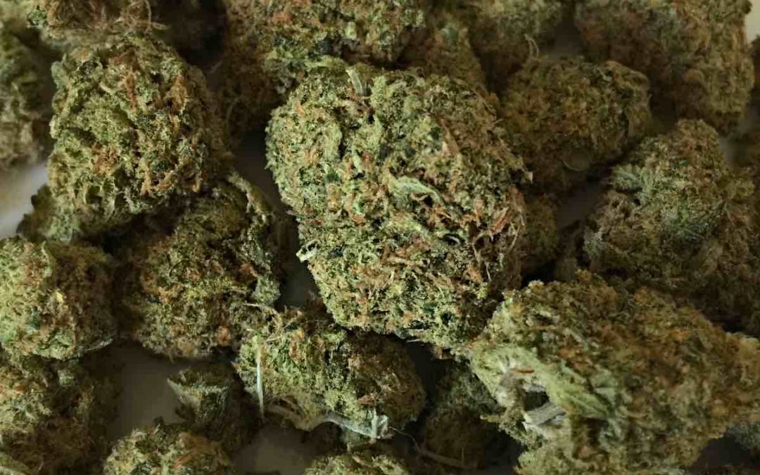1.120 Kilo Marihuana beschlagnahmt – 4 Festnahmen