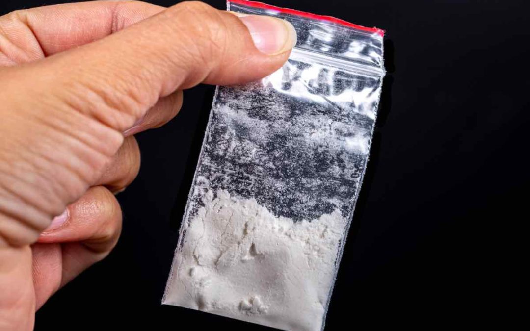 Kampf den Drogen: 25 Tonnen Ware und 200 Verhaftungen pro Monat