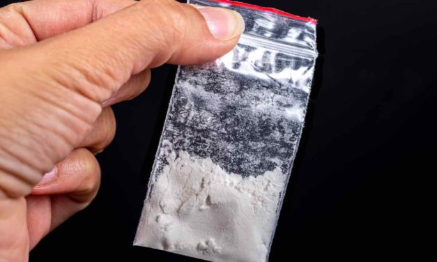 Kampf den Drogen: 25 Tonnen Ware und 200 Verhaftungen pro Monat