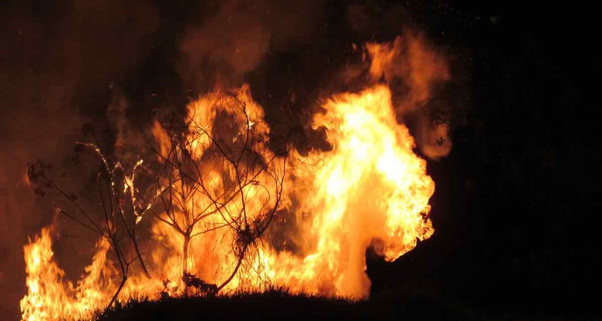 Brand auf La Palma: einer der gefährlichsten Brände seit Menschengedenken