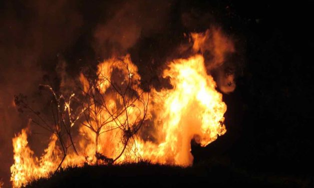 Brand auf La Palma: einer der gefährlichsten Brände seit Menschengedenken