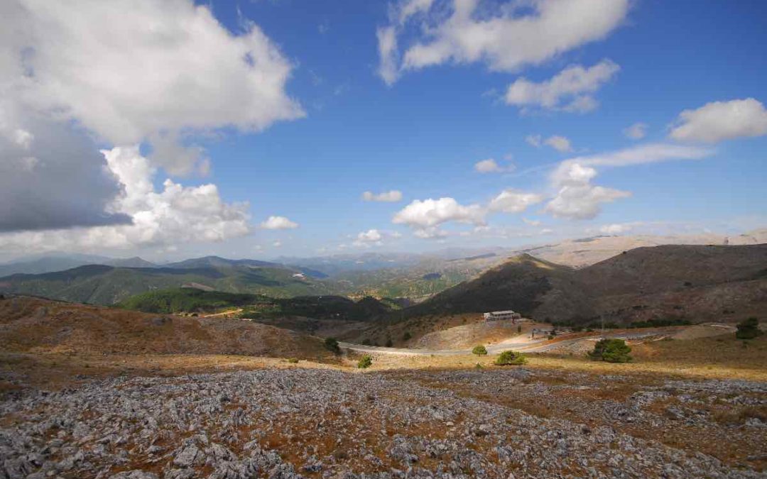 Feuerwehr löscht weiter Glutnester in der Sierra Bermeja