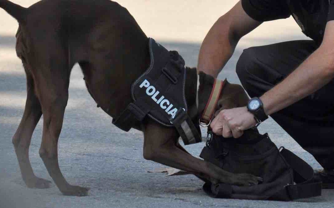 Jugendlicher in Marbella tot aufgefunden