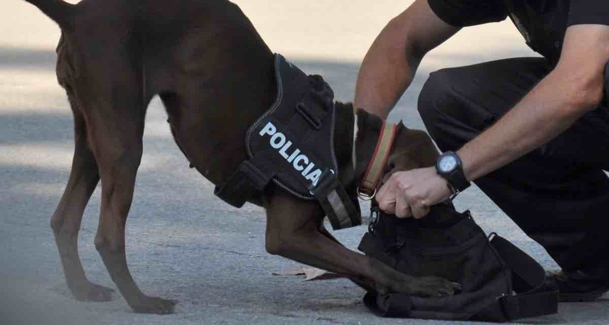 Jugendlicher in Marbella tot aufgefunden