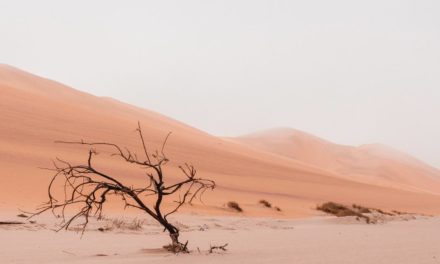 Klimawandel in Andalusien