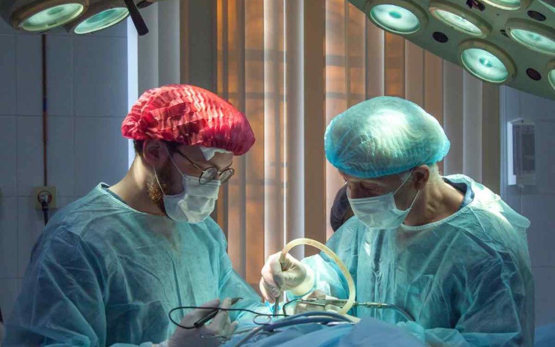 75% der Andalusier zur Organspende bereit