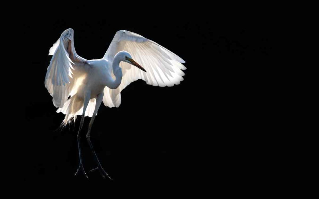 Dürregefahr für die Cañada de los Pájaros