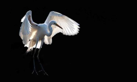 Dürregefahr für die Cañada de los Pájaros