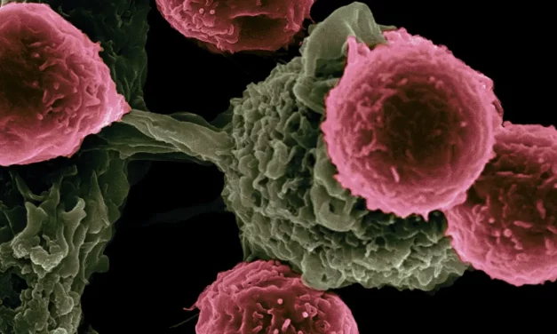 Spanischer Wissenschaftler entwickelt Medikament gegen Krebs
