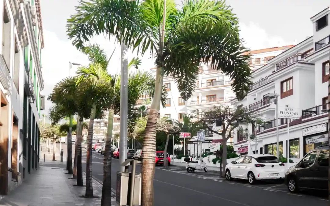 Kanaren machen Spanien einzigartig für Unternehmen in Europa