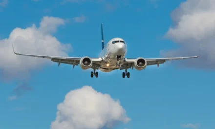 Passagierin rastet aus: Flug wird umgeleitet