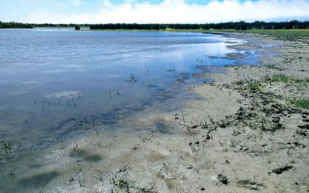 Naturpark Doñana: Santa Olalla zum 2. Mal in Folge ausgetrocknet
