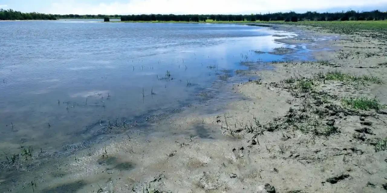 Naturpark Doñana: Santa Olalla zum 2. Mal in Folge ausgetrocknet