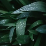Herbst 2023: wärmer und regenreicher