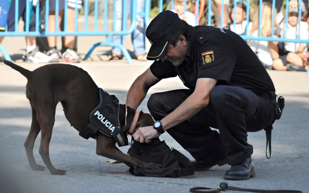 Málagas neue Polizeiunterstützung: Ein Roboterhund