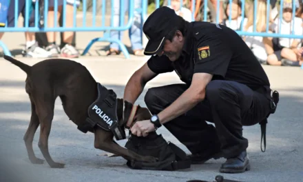 Málagas neue Polizeiunterstützung: Ein Roboterhund