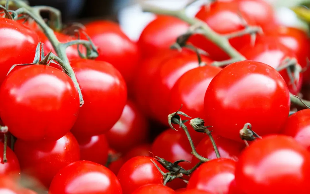 Ecologistas en Acción warnen vor Pestiziden auf Tomaten